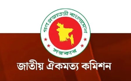 জাতীয় ঐকমত্য কমিশনের মেয়াদ বাড়ল আরও ১ মাস
