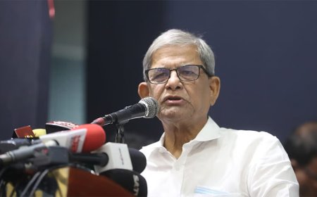 কোন রাজনৈতিক দল নিষিদ্ধের পক্ষে নয় বিএনপি : মির্জা ফখরুল