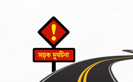 নগরকান্দায় বাসের ধাক্কায় বৃদ্ধার মৃত্যু