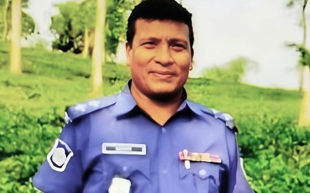 পুলিশ কর্মকর্তার সঙ্গে তরুণীর আপত্তিকর ছবি ভাইরাল, এসআই সুজনকে সাময়িক বরখাস্ত