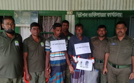 সুন্দরবনে বিষ দিয়ে মাছ ধরার সময় আটক ৫ জেলে