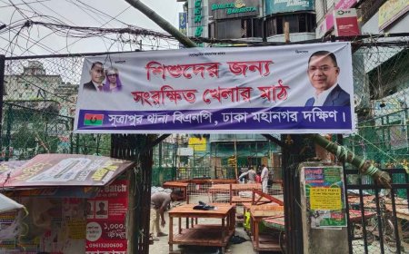 পুরান ঢাকায় মাঠ দখল করে মার্কেট, উচ্ছেদ করলেন বিএনপি নেতারা