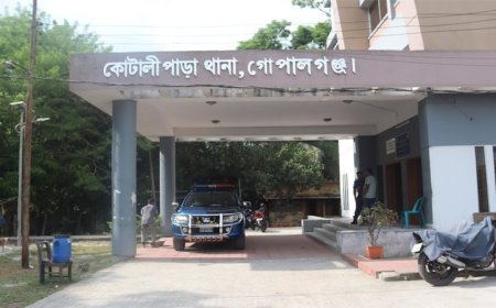 কোটালীপাড়ায় যুবদল নেতাকে মারধর করে আহত করলো স্বেচ্ছাসেবক লীগ নেতা