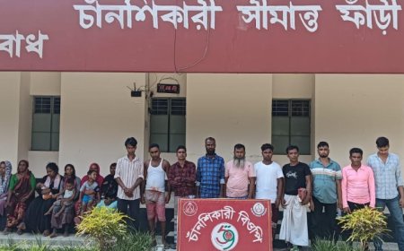 চাঁপাইনবাবগঞ্জ সীমান্ত দিয়ে ১৯ জনকে পুশইন করল বিএসএফ