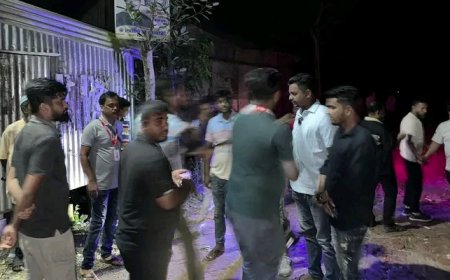 নিউইয়র্কে ডিম ছোড়া, জাহিদের গ্রামের বাড়িতে পাল্টা ডিম নিক্ষেপ