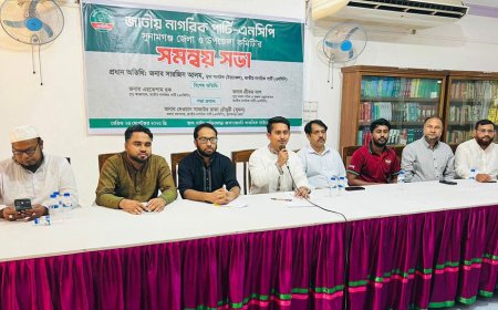 কোনো নির্বাচনে আ.লীগ অংশ নিতে পারবে না : সারজিস আলম