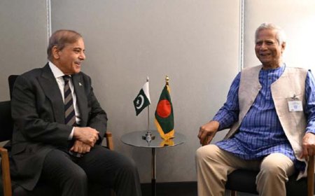 জাতিসংঘে পাকিস্তানের প্রধানমন্ত্রীর সঙ্গে ড. ইউনূসের বৈঠক