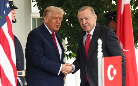 এরদোয়ানের সঙ্গে বৈঠকের আগে গাজায় যুদ্ধবিরতি নিয়ে আশার কথা শুনালেন ট্রাম্প