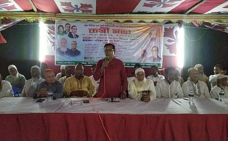 শ্রীনগরে ইউনিয়ন বিএনপির উদ্যোগে কর্মীসভা অনুষ্ঠিত