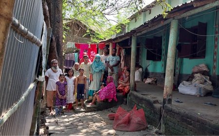 শিক্ষকের বাড়ির চারদিকে টিনের বেড়া দিলেন আ.লীগ ও যুবলীগ নেতাকর্মীরা