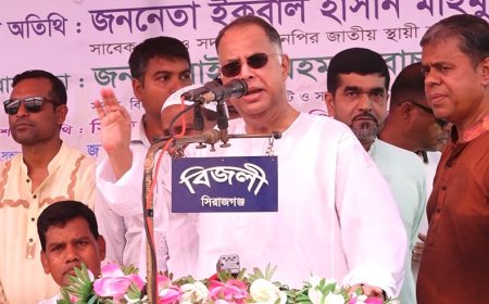 বিএনপির বিরুদ্ধে অদৃশ্য ফ্যাসিবাদ চক্র ষড়যন্ত্র করছে : ইকবাল হাসান মাহমুদ টুকু