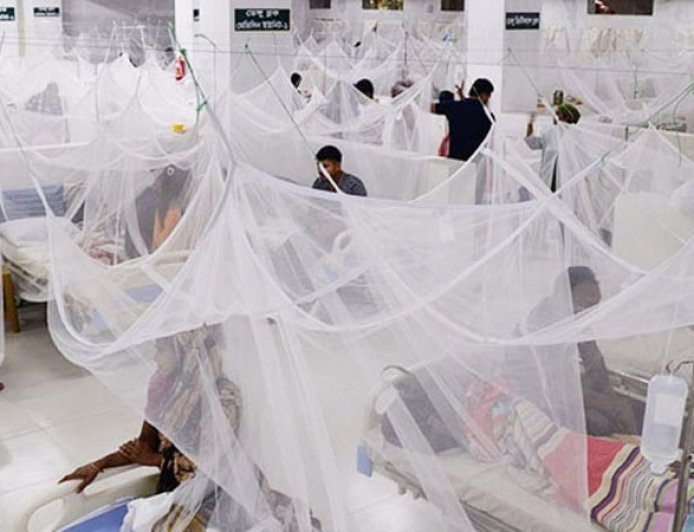 ডেঙ্গুতে আরও ৫ জনের মৃত্যু, হাসপাতালে ৬৩৬