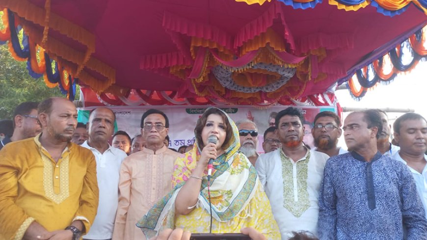 দেশে যত উন্নয়ন হয়েছে সব বিএনপির সময় হয়েছে : শামা ওবায়েদ