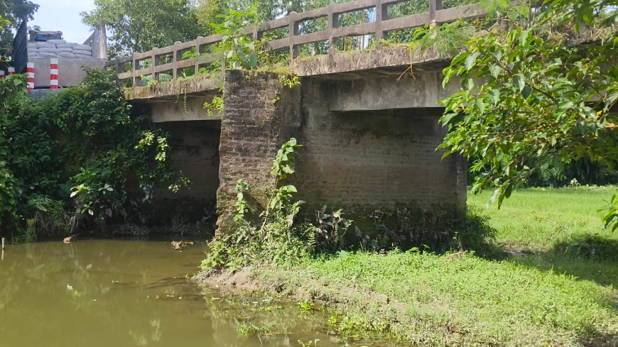 ভুরুঙ্গামারীতে সংস্কারের অভাবে ঝুঁকিপূর্ণ ব্রিজ দিয়ে চলাচল, আতঙ্কে স্থানীয়রা