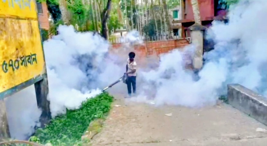 পুঠিয়া পৌরসভার উদ্যোগে সপ্তাহব্যাপী মশক নিধন অভিযান শুরু