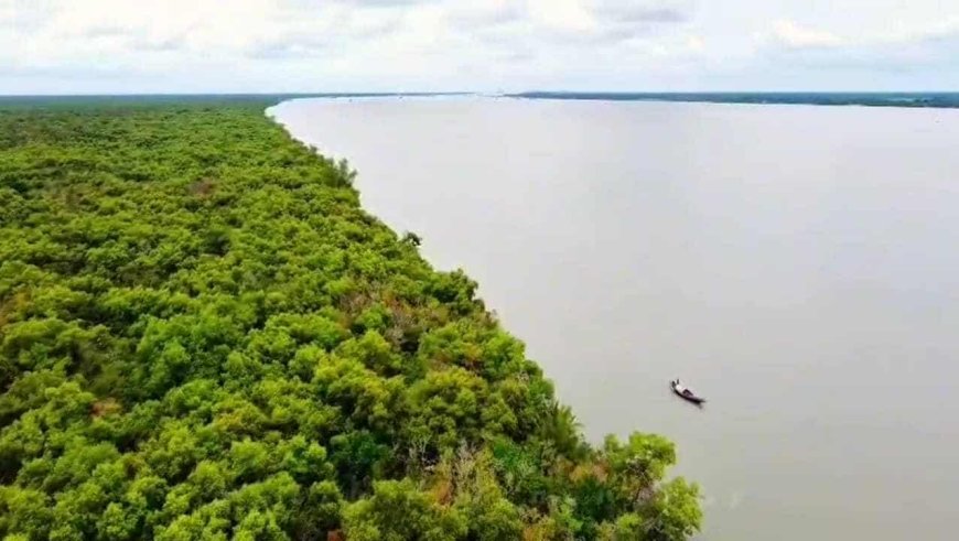 সুন্দরবনে ঘুরতে এসে সমুদ্রে গোসলে নেমে নিখোঁজ পর্যটক