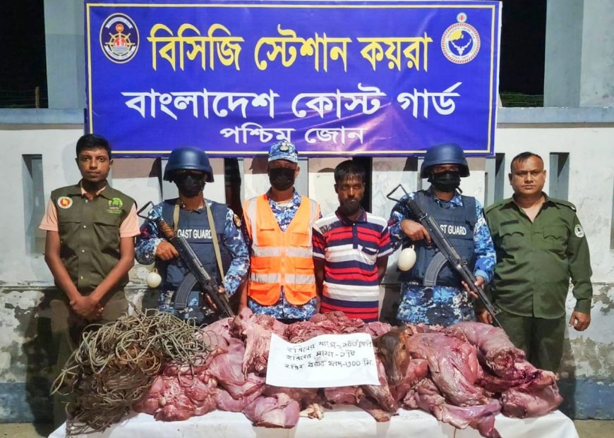 সুন্দরবনে বিপুল পরিমান হরিনের মাংসসহ শিকারী আটক