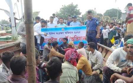 রাজবাড়ীতে নিষেধাজ্ঞা অমান্য করে ইলিশ ধরার দায়ে ১৬ জেলের কারাদণ্ড