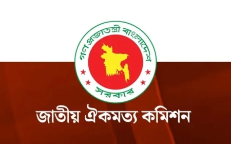 বঙ্গবন্ধুর প্রতিকৃতি প্রদর্শনসংক্রান্ত অনুচ্ছেদ বাতিল চায় ঐকমত্য কমিশন