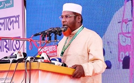 উপদেষ্টাদের কেউ কেউ একটি দলকে ক্ষমতায় নিতে চেষ্টা করছে : গোলাম পরওয়ার