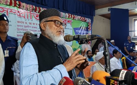 নির্বাচিত সরকারকে দায়িত্ব হস্তান্তর করবে অন্তর্বর্তীকালীন সরকার : ধর্ম বিষয়ক উপদেষ্টা