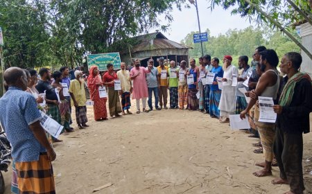 সাদুল্লাপুরে ১৬ হাজার হেক্টর জমিতে রোপা আমন চাষ, পরামর্শ দিচ্ছে কৃষি অফিস
