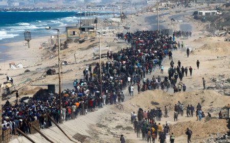 যুদ্ধবিরতির পর ২৪ ঘণ্টায় গাজায় ফিরল পাঁচ লাখের বেশি ফিলিস্তিনি