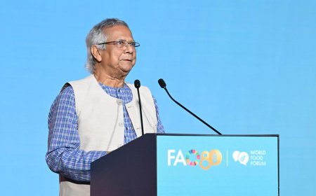 বাংলাদেশ ১৭ কোটি মানুষের খাদ্যের যোগান দিচ্ছে, আশ্রয় দিয়েছে ১৩ লাখ রোহিঙ্গাকে