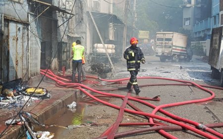 মিরপুরে কেমিক্যাল গোডাউনে অগ্নিকাণ্ড, নিহতের সংখ্যা বেড়ে ১৬