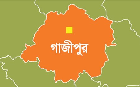 ভাড়া নিয়ে বাগবিতণ্ডা, হেলপার-কন্টাকটারের হামলায় যাত্রীর মৃত্যু