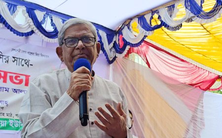 দয়া করে দেশটাকে বাঁচান, আর বিভাজন সৃষ্টি করবেন না : মির্জা ফখরুল