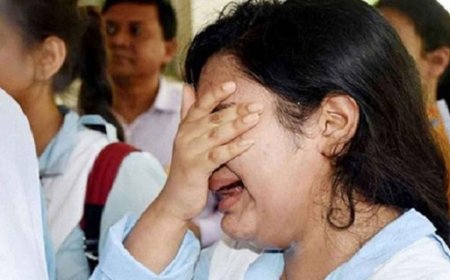 এইচএসসির ফল প্রকাশ: ২০২ শিক্ষাপ্রতিষ্ঠানে পাস করেনি কেউ