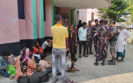 মেহেরপুরে সীমান্ত দিয়ে ১৪ জনকে পুশইন করেছে বিএসএফ
