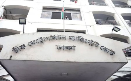 টেলিগ্রামে পর্নোগ্রাফি: জড়িতদের বিরুদ্ধে মামলা করার নির্দেশ আদালতের