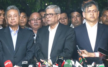 অন্তর্বর্তী সরকারকে তত্ত্বাবধায়ক সরকারের ভূমিকায় চায় বিএনপি