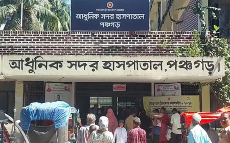 পঞ্চগড়ে ১২ বছরের শিশুকে ধর্ষণচেষ্টা, মামলা করতে গিয়ে বাবা-ভাই গ্রেপ্তার