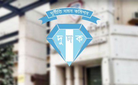 সাবেক মন্ত্রিপরিষদ সচিব শফিউল আলমের বিরুদ্ধে অনুসন্ধানে দুদক