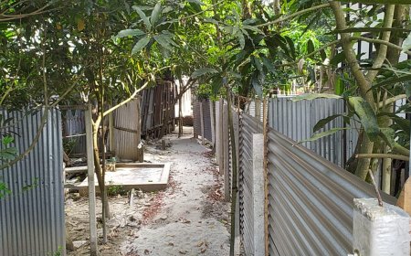 ইসলামী আন্দোলনের সভাপতির বিরুদ্ধে বসতবাড়ি দখলের অভিযোগ!