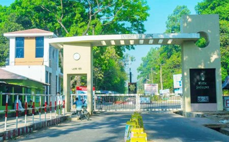 চট্টগ্রাম বিশ্ববিদ্যালয়ে পূর্ণাঙ্গ কমিটি ঘোষণা করল ছাত্রদল