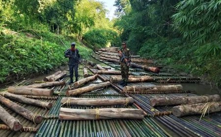 খাগড়াছড়িতে সেনাবাহিনীর অভিযানে ৪ হাজার ঘনফুট অবৈধ কাঠ উদ্ধার