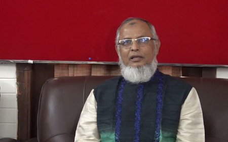 গণভোটের বিষয়টি এখনও কমিশনের নজরে আসেনি : ইসি আনোয়ারুল