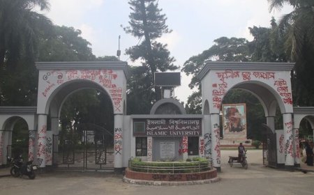 জুলাইবিরোধীতায় ইবির ৩০ শিক্ষক-কর্মকর্তা বরখাস্ত, সনদ বাতিল ৩৩ ছাত্রলীগ নেতার