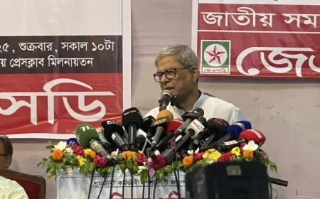 অন্তর্বর্তী সরকার জনগণের সঙ্গে বিশ্বাসঘাতকতা করেছে : মির্জা ফখরুল