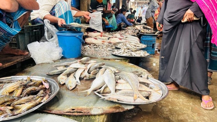 মতলবে নিষেধাজ্ঞা অমান্য করে বাজারে প্রকাশ্যে বিক্রি হচ্ছে মা ইলিশ