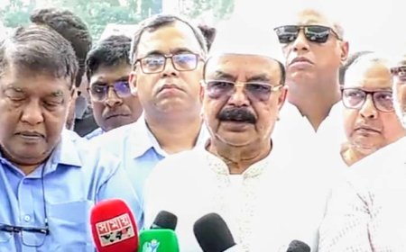 বিএনপি জুলাই সনদ ইস্যুতে মাঠে নামলে অন্তর্বর্তী সরকার টিকতে পারবে না : গয়েশ্বর