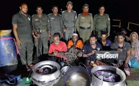 বনকর্মী সেজে ফাঁদ পেতে হরিন শিকারের চেষ্টা, আটক ৭