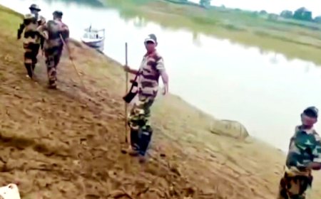 জকিগঞ্জ সীমান্তে ঢুকে বাঁশের খুঁটি উপড়ে ফেলল বিএসএফ, স্থানীয়দের প্রতিবাদ