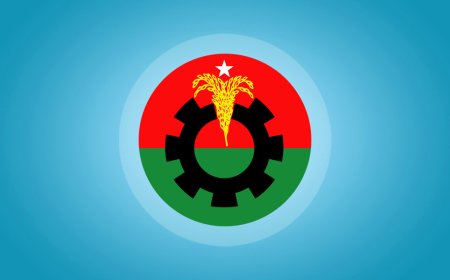 সিরাজগঞ্জে বিএনপির মনোনয়ন পেলেন যারা