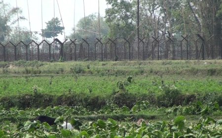 পাটগ্রাম সীমান্তে সাউন্ড গ্রেনেড ছুড়ল বিএসএফ, বিজিবির প্রতিবাদ