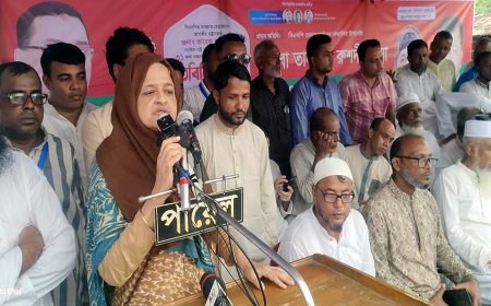 আমাকে আপনারা ইলিয়াস আলীর প্রতিনিধি হিসেবে দেখবেন : লুনা